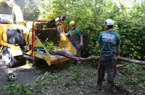 tree services Hudson Lake